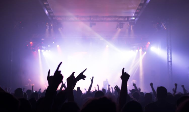 Crowd Cheering At A Music Concert
