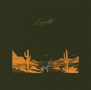 Mt. Joy - Coyote (Single Review)